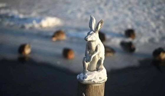 "Тамара" обрушит снегопад на Петербург