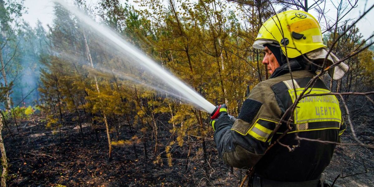 В России создали комиссию по ликвидации лесных пожаров 