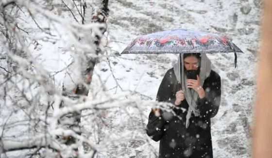 Главный синоптик Петербурга сообщил сроки прихода зимней погоды