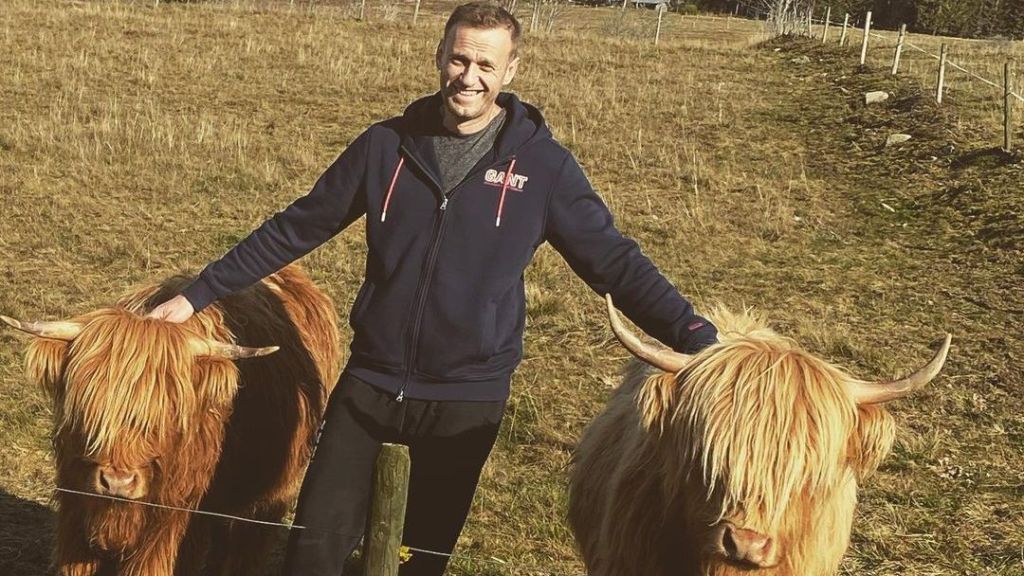 Отравление Навального связали с деревенским самогоном