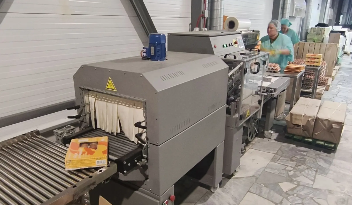 «Птицефабрика Чайковская» установила новое оборудование для упаковки яиц