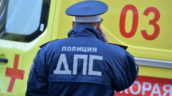 В Волгоградской области арестованы трое участников крупной драки