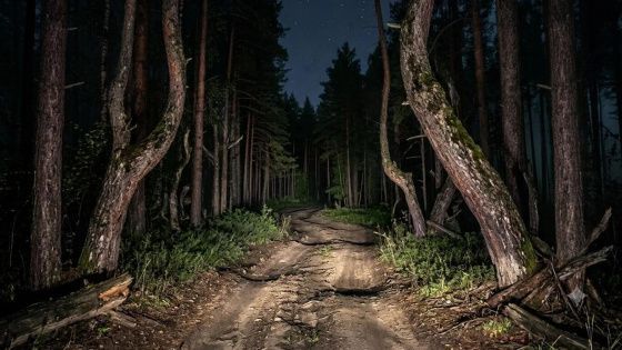 В Новосибирской области охотник случайно смертельно ранил своего напарника