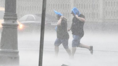 Два человека погибли после урагана в Москве