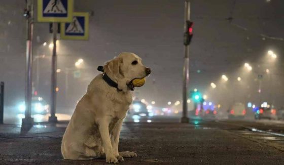 Метеоролог Леус поделился прогнозом погоды в Петербурге на 20 марта