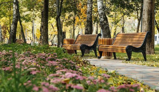 В Москве обновят более 200 зон отдыха для пешеходов