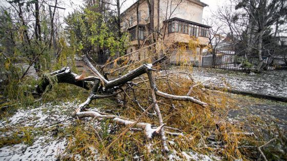 «Ущерб существенный»: в Крыму ввели режим ЧС из-за шторма