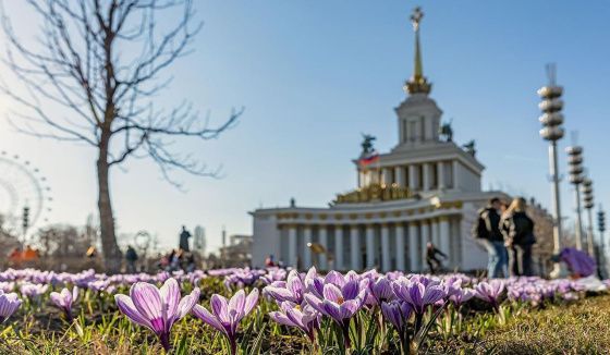 Цветочное великолепие ВДНХ: от первоцветов до роскошных роз в этом году