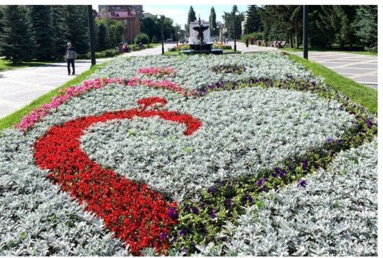 В Омске появилась клумба из 9 тысяч цветов