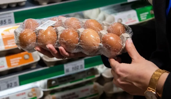 МИД России заявил об уверенном росте поставок яиц из Белоруссии