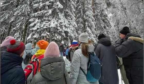 «Лыжные стрелы» вновь начнут курсировать 10 и 11 января