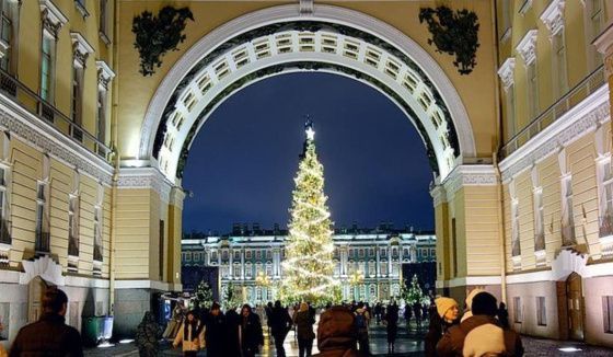 Главная ель Петербурга прибыла на Дворцовую площадь