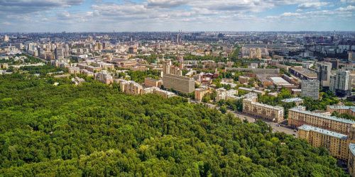 В Москве от незаконных построек освободили 477 га земли