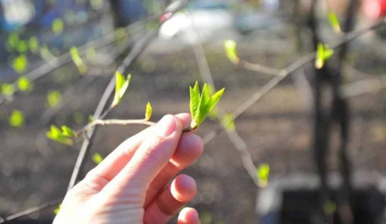 В Башкирии ожидается потепление до +20 градусов