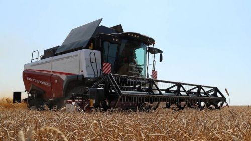 Россия выделит 10 млрд рублей на поддержку производителей зерна