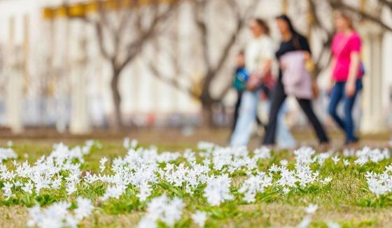 Апрель в столице начнется с теплой весенней погоды