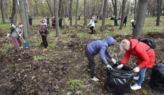 В Петербурге в ближайшие выходные проведут общегородской субботник