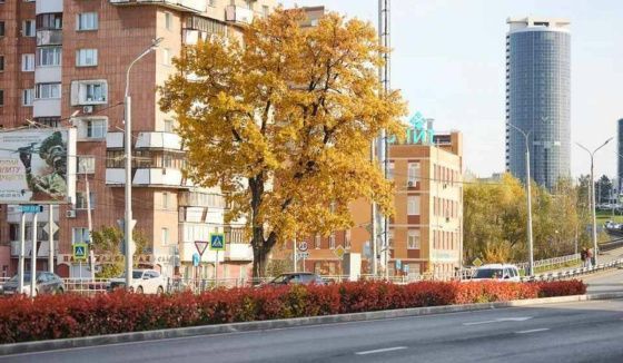Золотая осень в Прикамье сохранится до начала ноября