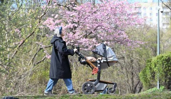 Какой будет погода в Ростовской области в праздничные выходные?