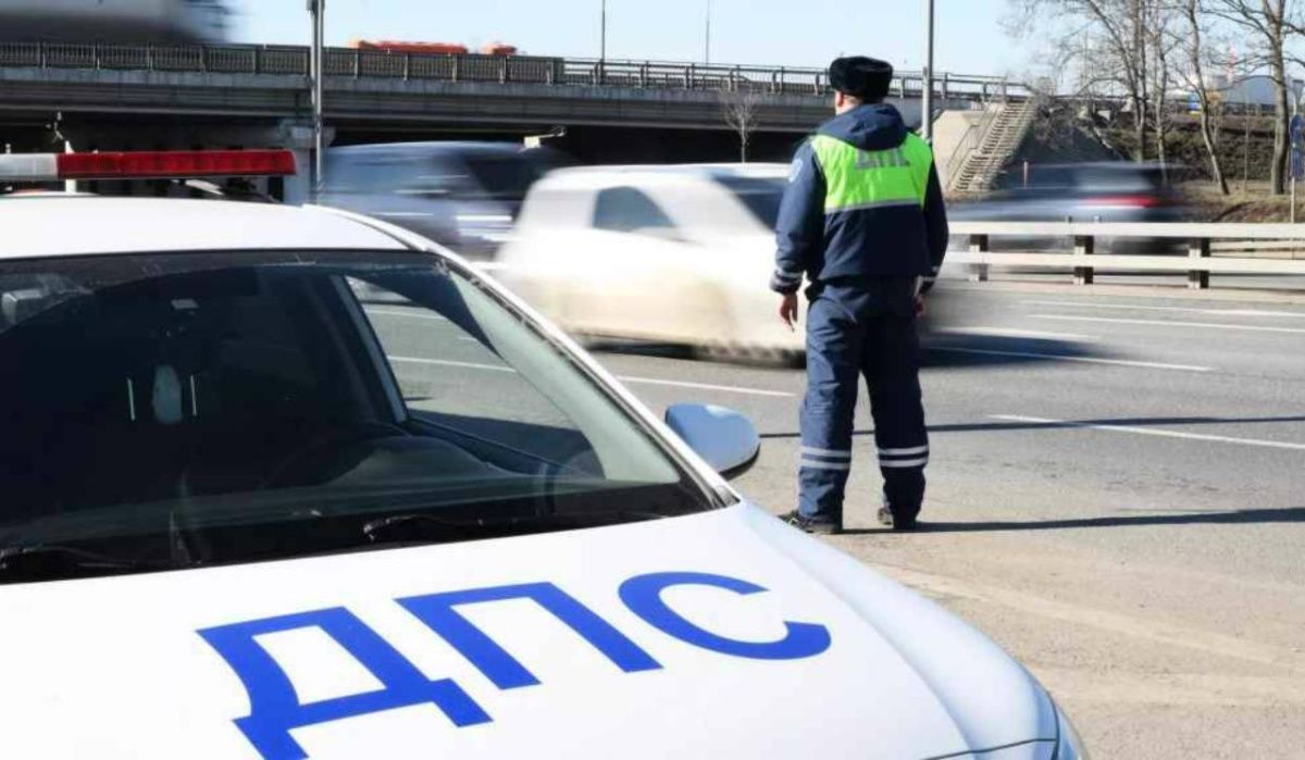 Водителям грозит лишение прав за оставление места ДТП с животным