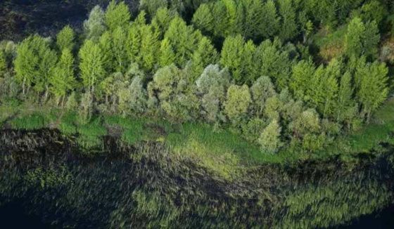 В Краснотурьинске запретили посещать леса из-за проведения взрывных работ