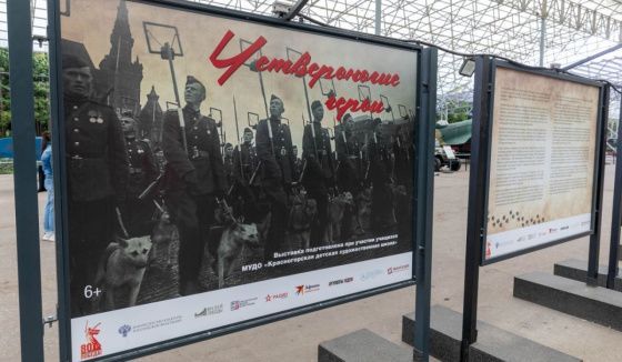 Музей «Г.О.Р.А.» представил выставку «Четвероногие герои»