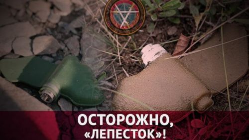 Россия пожаловалась Генсеку ООН на мины «Лепесток» от украинских военных на Донбассе 