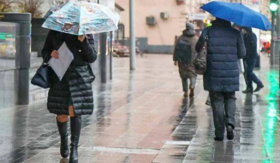 Леус рассказал о погоде в Петербурге 1 декабря