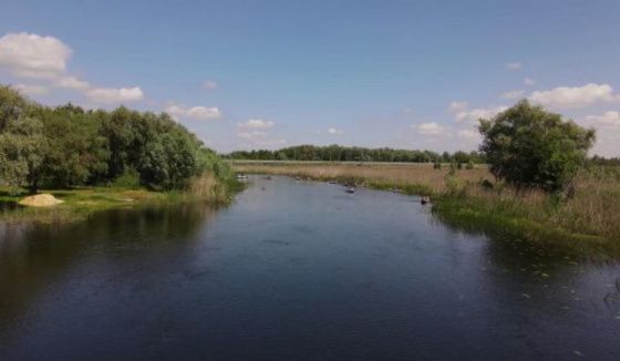 В воронежском Битюге впервые в регионе применят биологическую расчистку