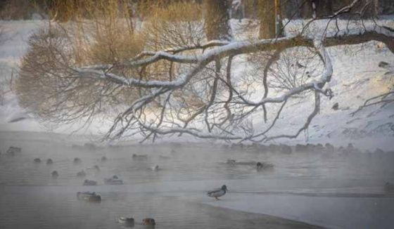 Морозы до - 42°C ожидаются в Свердловской области