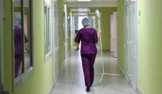В Прикамье медведь напал на школьника, собиравшего ягоды с семьей