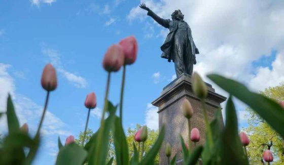 В Петербурге разработали эффективную защиту памятников от вандализма