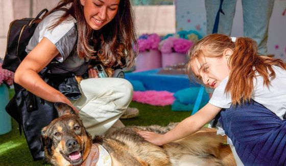 На Тверском бульваре состоится мероприятие «"Моспитомец" - Четвероногий друг»