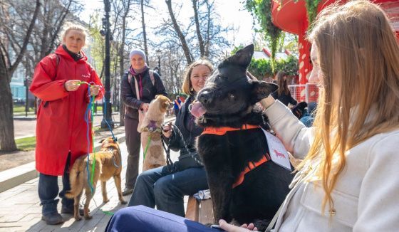 Более 50 животных обрели дом на мероприятии «Моспитомец х Четвероногий друг»