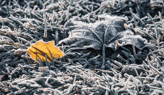 В Москве прогнозируется похолодание в ближайшие дни