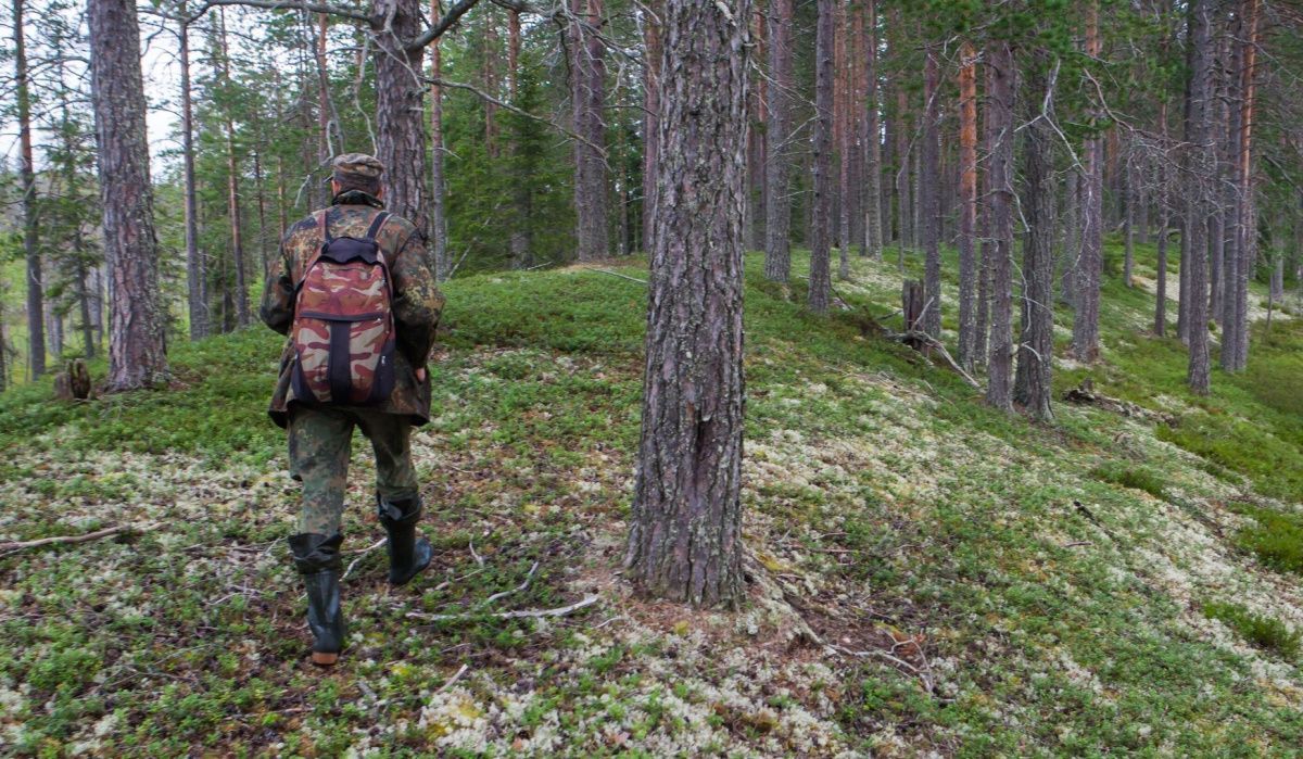 В Госдуме рассмотрят предложение о возрождении профессии лесника