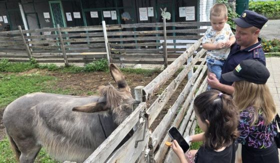 В Чайковском дети полицейских покормили животных в мини-зоопарке