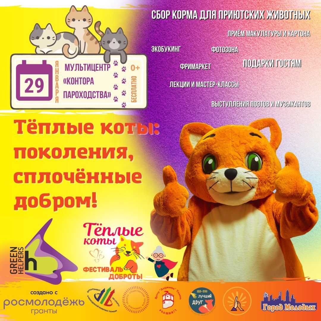 В Тюмени состоится фестиваль «Тёплые коты»