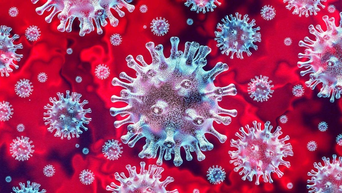 Учёные из России обнаружили мутацию коронавируса, позволяющую избегать клеточный иммунитет