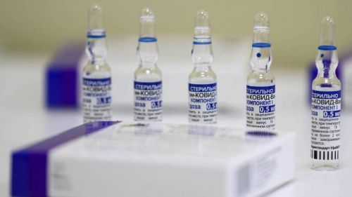 В Бразилии будут прививаться российской вакциной