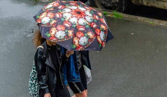 В Петербурге 26 мая ожидается почти месячная норма осадков