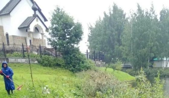 Экологические службы собрали за неделю более 66 тонн опасных отходов