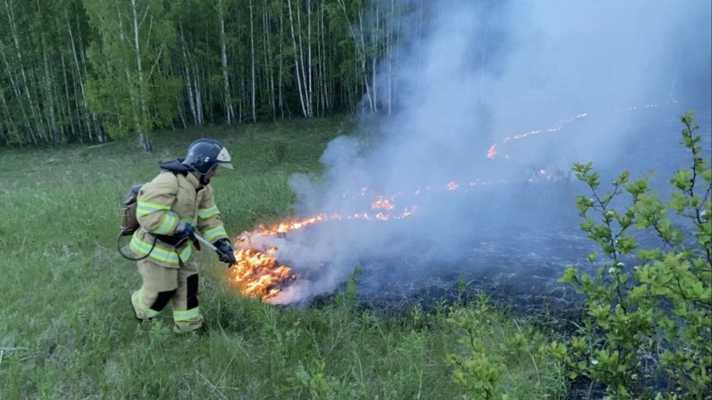 Россия станет ежегодно выделять по 8 млрд рублей на борьбу с лесными пожарами