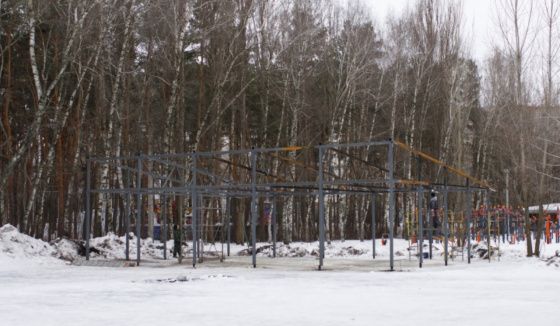 Новые спортплощадки и пункт проката появятся в воронежском парке «Танаис»