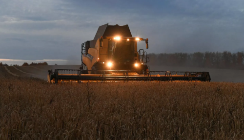 Россия собрала рекордные 155,5 миллиона тонн зерна