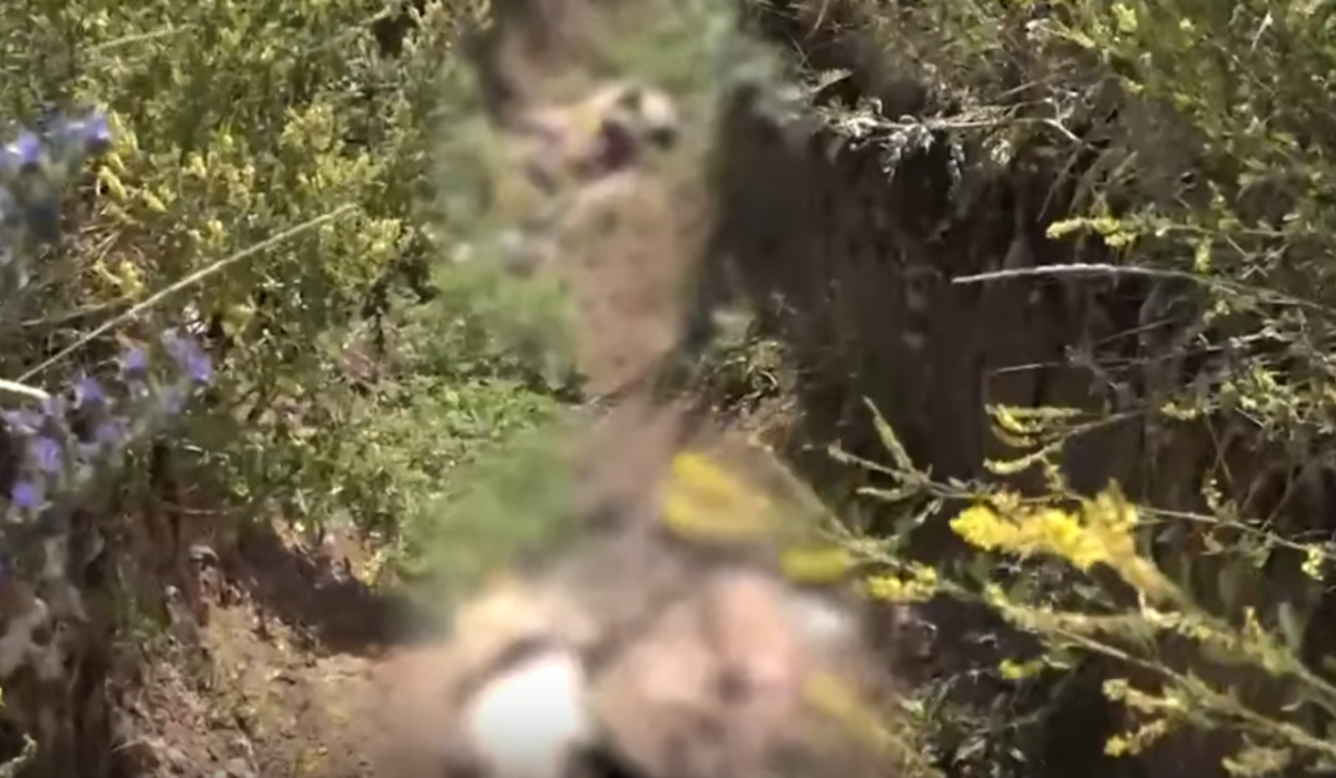 В одной из бригад ВСУ растут небоевые потери