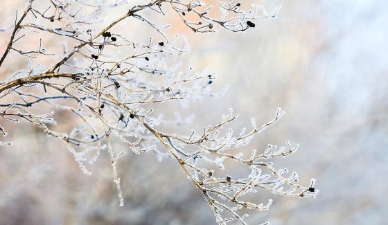 В Волгоградской области температура упадет до -35 градусов