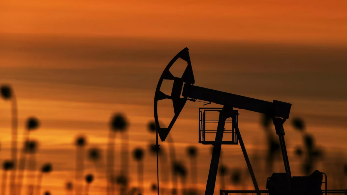 ОПЕК сохранила прогноз по росту мирового спроса на нефть в 2022 году