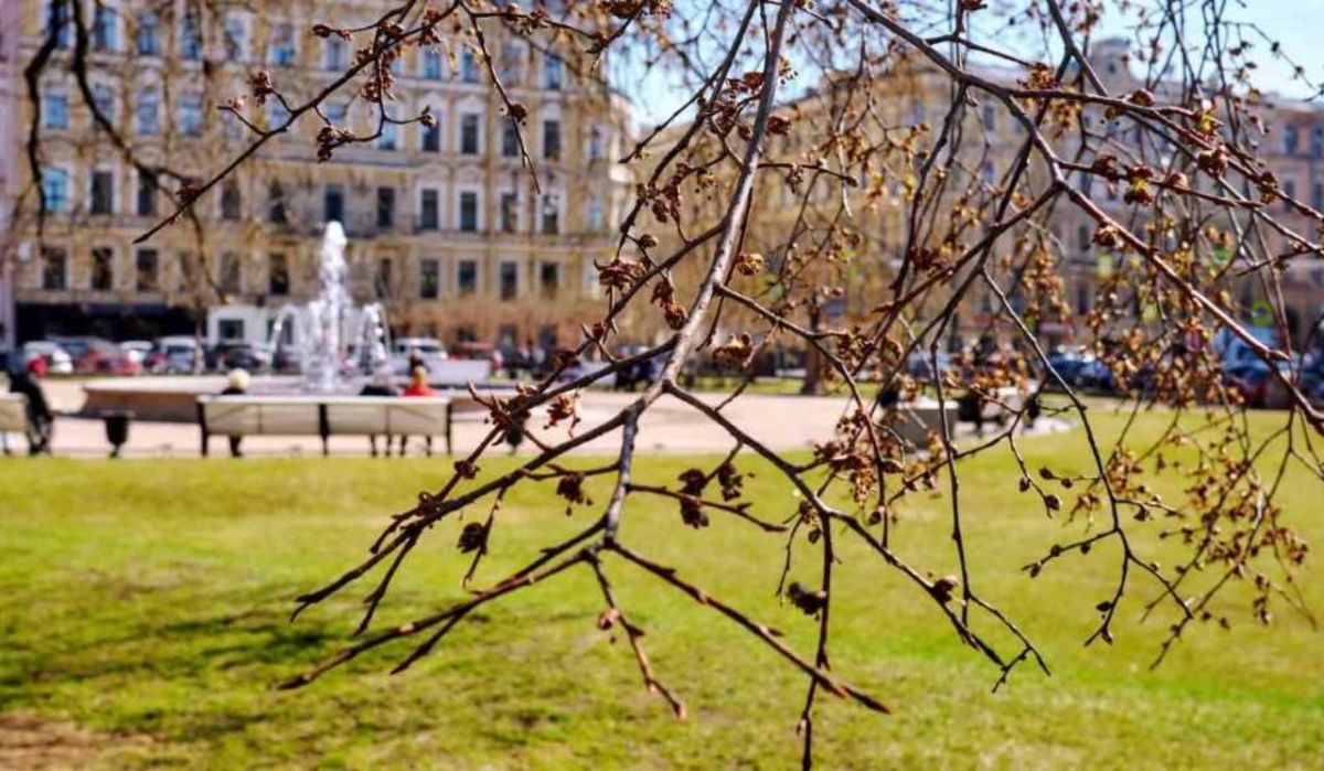 Названы популярные направления для семей с детьми на майские праздники