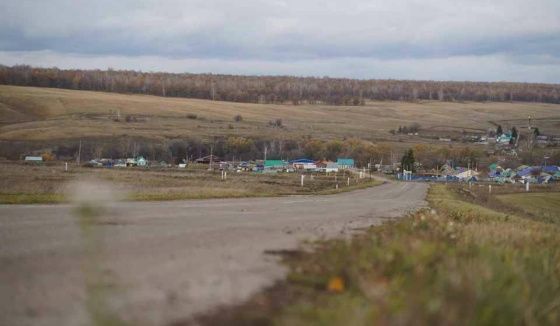 В трех поселках Нижегородской области объявлен карантин из-за вспышки бешенства